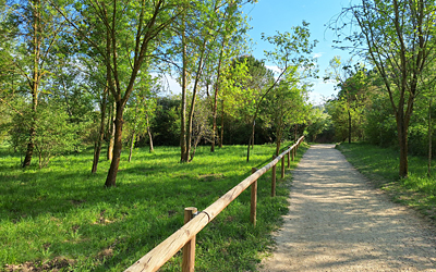 Estany de Banyoles